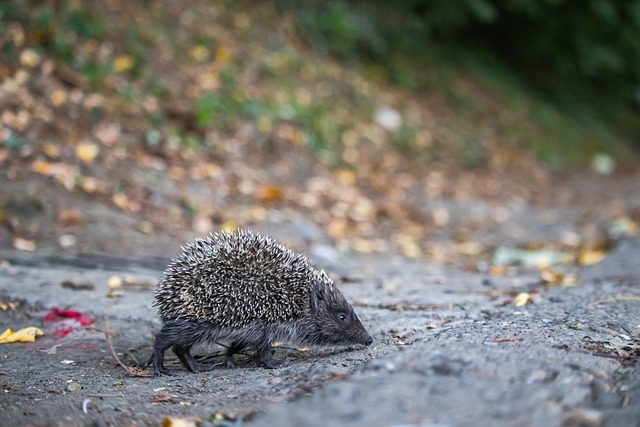 存在太大偏 存在太大偏