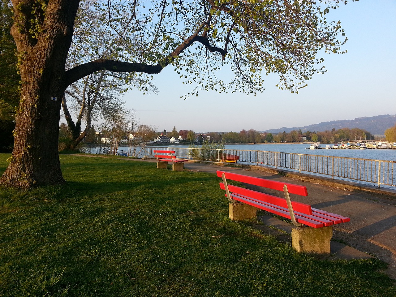 裁判的每一 裁判的每一