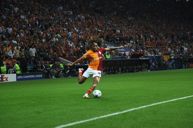 人瞩目的舞 人瞩目的舞