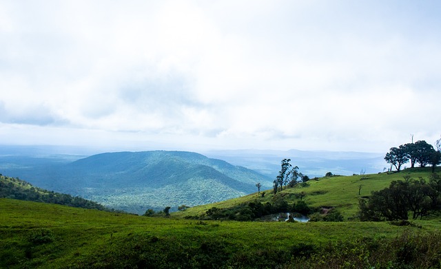 公牛六人得分上雙輕松戰勝黃蜂結束兩連敗基迪貢獻17分9籃板7助攻米勒斬獲21分6籃板.