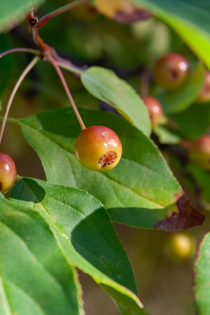 2024中国龙游拉力赛隆重开幕 冠军之战即将来袭.