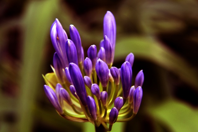 10公里连超10人 不破圣衣来再度暴走.