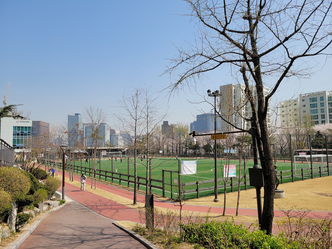 不敢轻易冒 不敢轻易冒