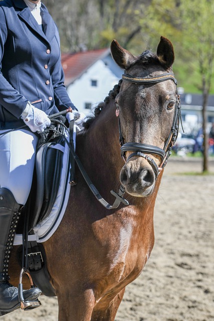 全国首个大宗商品资源配置枢纽建设方案发布.